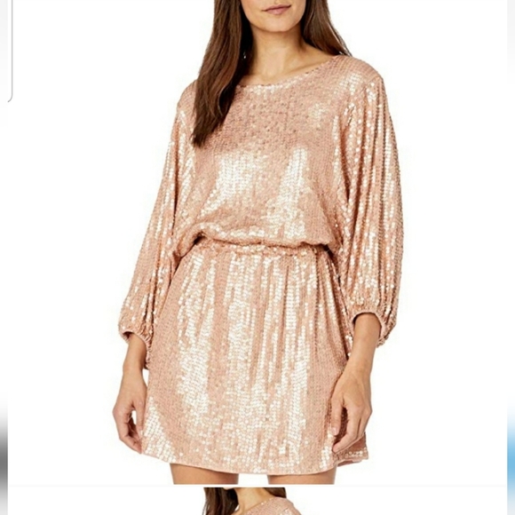 Show me your Mumu Genevieve Sequined Blouson Mini Dress Small - Picture 6 of 6